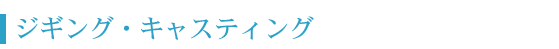 ジギング キャスティング